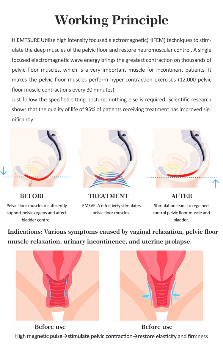 ems pelvic floor chair